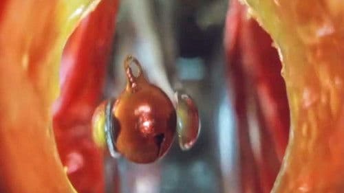 看護婦日記 獣じみた午後 Bild 7