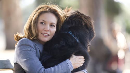 Frau mit Hund sucht Mann mit Herz Bild 4