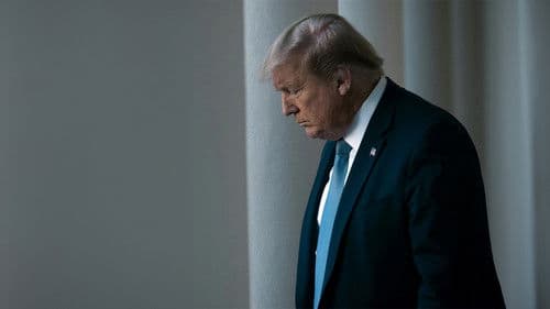 Trump's Heist: The President Who Wouldn't Lose? Bild 1