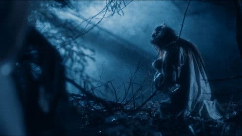 Извод: Ведьмина топь Bild 2