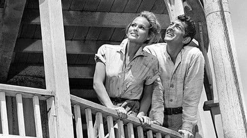 Vier für Texas Bild 3