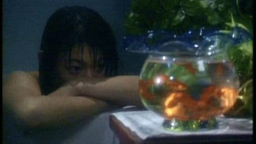 Zero WOMAN 危ない遊戯 Bild 1