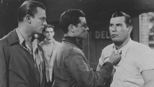 Burn 'Em Up O'Connor Bild 1