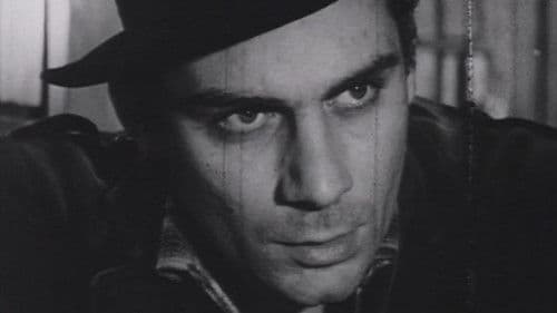 Il taglio del bosco Bild 1