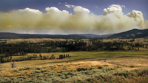 National Parks Exploration Series: Yellowstone Bild 1