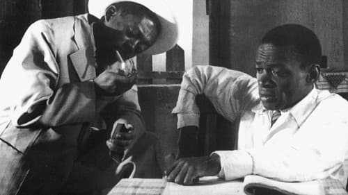 Também Somos Irmãos Bild 3