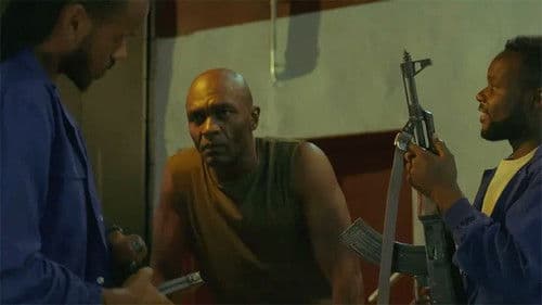 Delfines de plata Bild 2