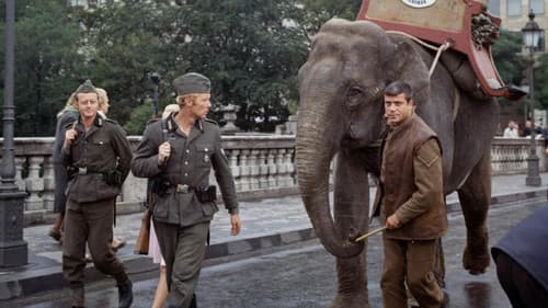 Hannibal Brooks Bild 1