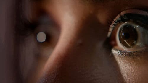 The Bengal Files Bild 3