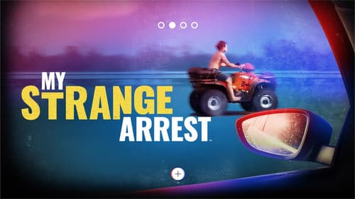 My Strange Arrest Bild 3