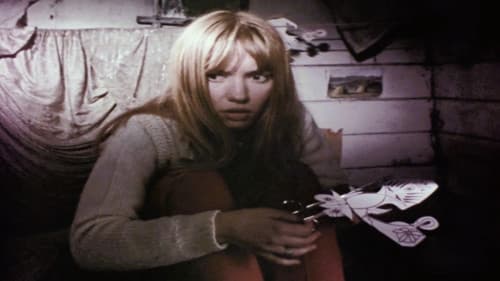 The Owl Service Bild 5