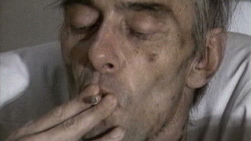 Sehnsucht nach Sodom Bild 1