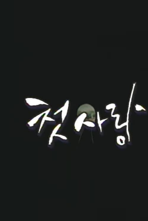 드라마 시티: 첫사랑