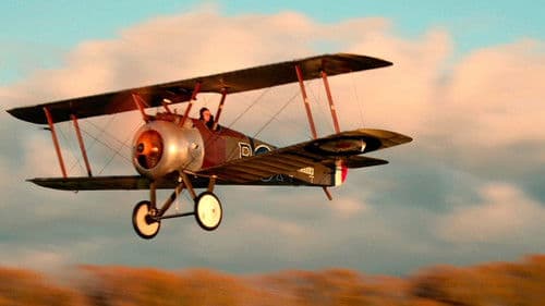 The Millionaires' Unit Bild 1