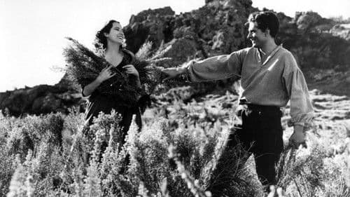 Stürmische Höhen Bild 3