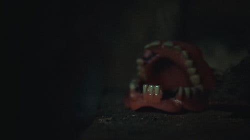 Fellwechselzeit Bild 3