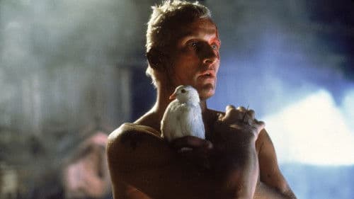 Das Phänomen Blade Runner Bild 2