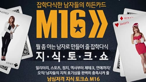 잡학다식한 남자들의 히든카드 M16 Bild 1