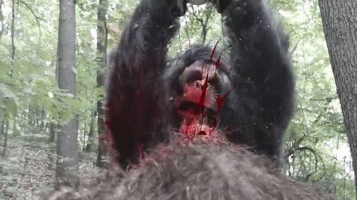 Frozen Sasquatch Bild 1