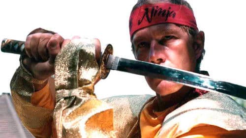 Ninja Strike Force Bild 2