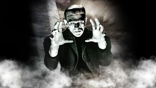 Frankenstein Bild 7