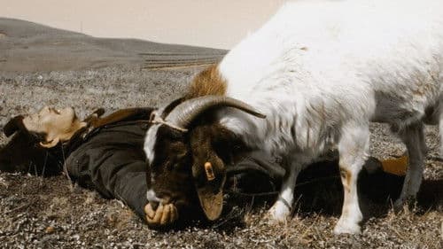 好大一对羊 Bild 1