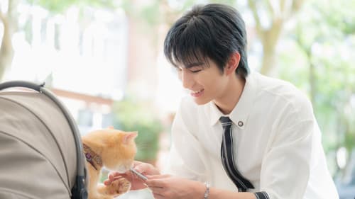 轉過頭幫你擦眼淚 Bild 5