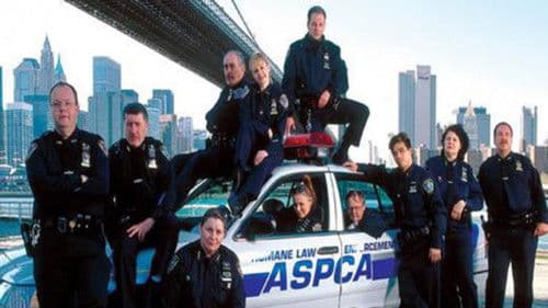 Einsatz in New York Bild 1