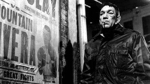 Die Faust im Gesicht Bild 2