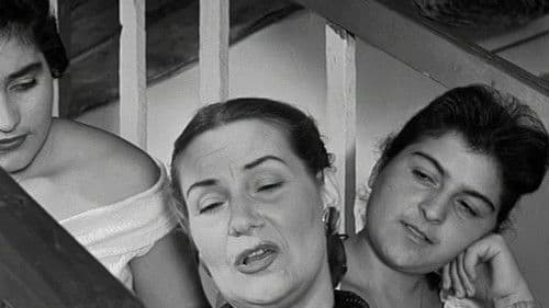 Το Οργανάκι του Αττίκ Bild 2