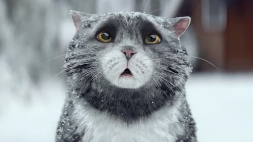 Sainsbury's: Mog's Christmas Calamity Bild 1