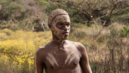 Einer von uns: Der Homo sapiens Bild 6