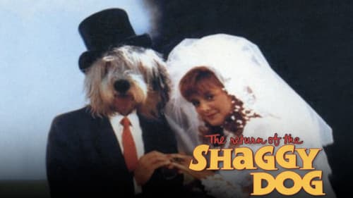 Zottis tolle Abenteuer Bild 5