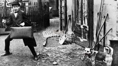 Fräulein Seifenschaum Bild 1