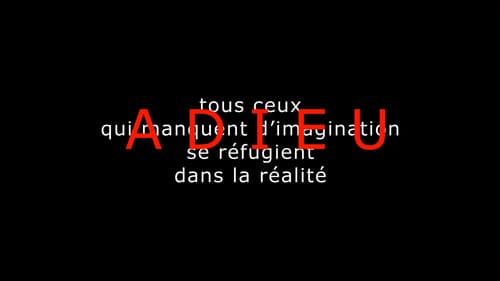 Goodbye to Language Bild 7