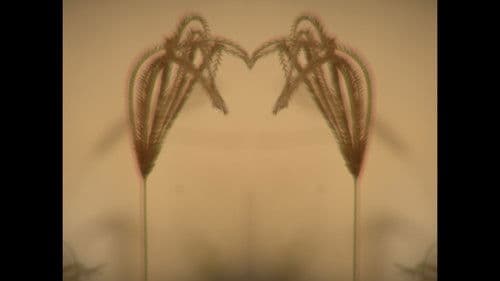 External Exchange Bild 2