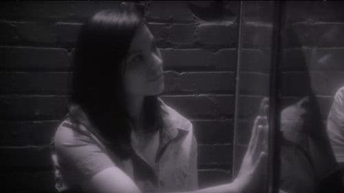 Melody on Earth Bild 1