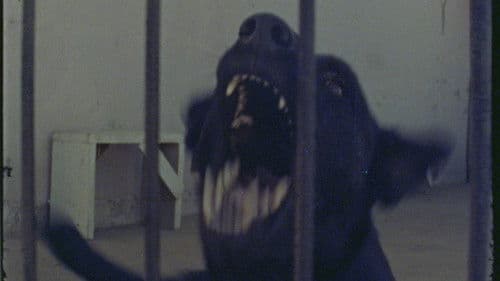 Susurros del hormigón Bild 1