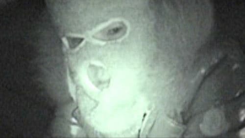 Not Found 5　－ネットから削除された禁断動画－ Bild 1