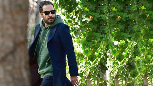 جنگل آسفالت Bild 8