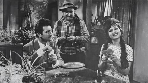 Kırmızı Karanfiller Bild 2