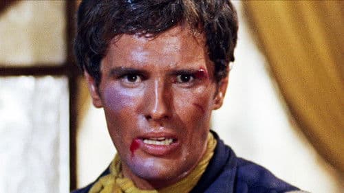 Ringo kommt zurück Bild 3