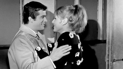 Κυνηγημένη προσφυγοπούλα Bild 8