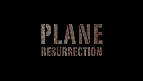 Plane Resurrection Bild 1
