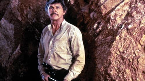 Der Liquidator Bild 5