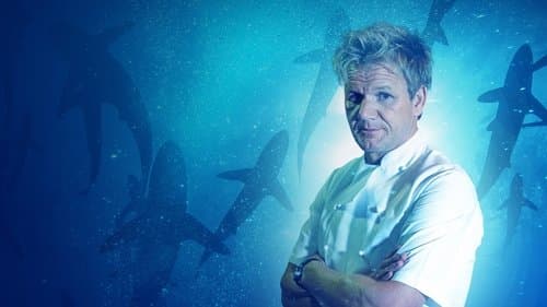 Gordon Ramsay: Shark Bait Bild 1
