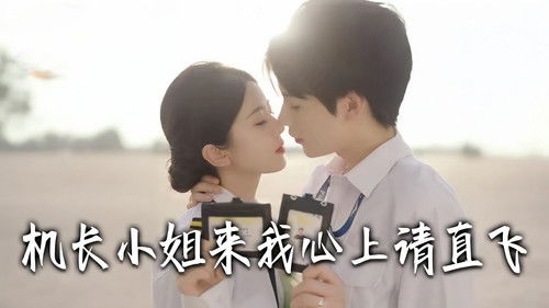 机长小姐，来我心上请直飞 Bild 1