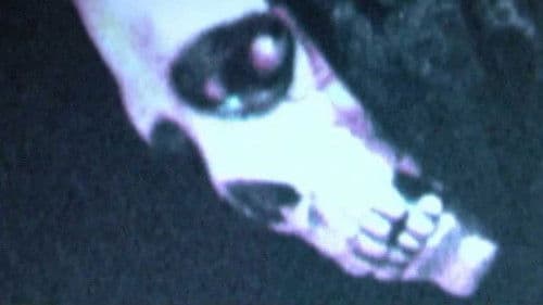 Mortal Remains Bild 2