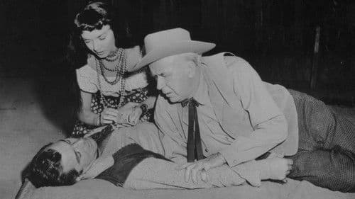 Jede Kugel trifft Bild 1