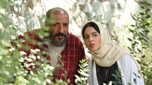 سوفی و دیوانه Bild 1